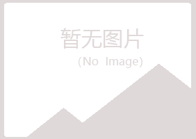 鹤岗南山白易能源有限公司